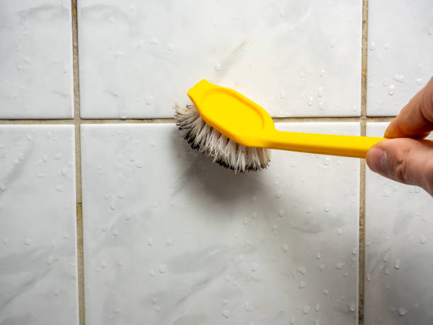 Best Residential Mold Remediation in Naranja, FL