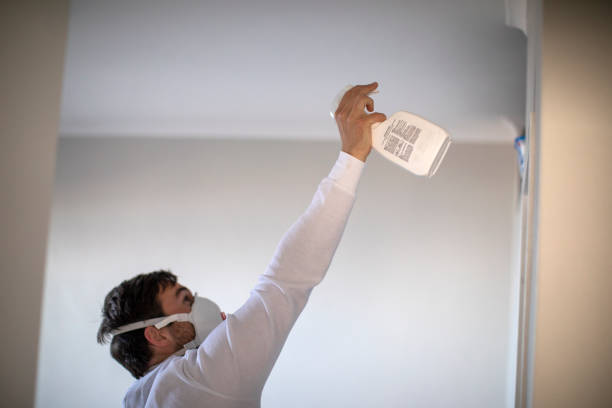 Best Mold Remediation for Schools in Naranja, FL